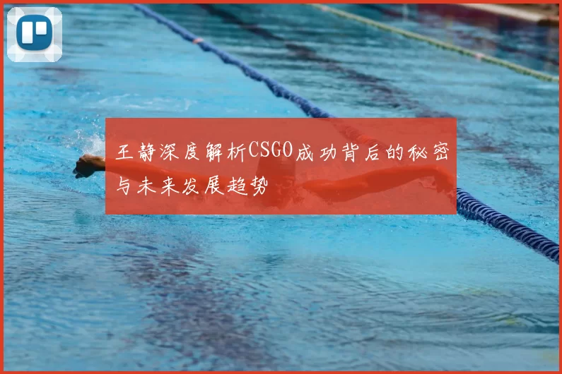 王静深度解析CSGO成功背后的秘密与未来发展趋势
