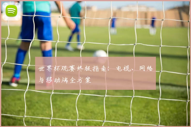 世界杯观赛终极指南：电视、网络与移动端全方案