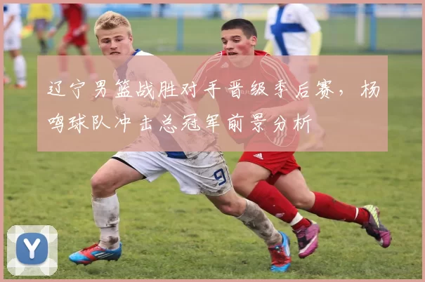 辽宁男篮战胜对手晋级季后赛,杨鸣球队冲击总冠军前景分析