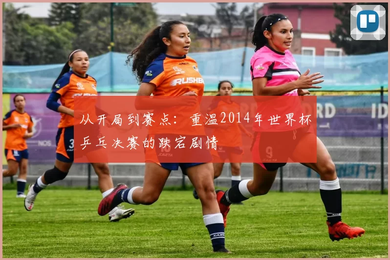从开局到赛点:重温2014年世界杯乒乓决赛的跌宕剧情