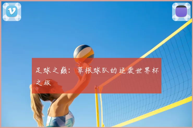 足球之巅：草根球队的逆袭世界杯之旅