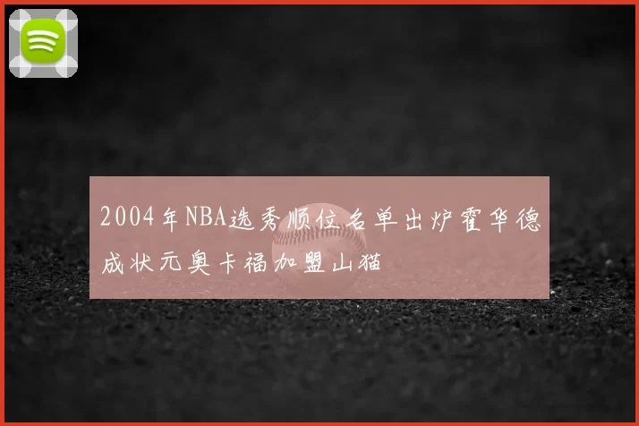 2004年NBA选秀顺位名单出炉霍华德成状元奥卡福加盟山猫