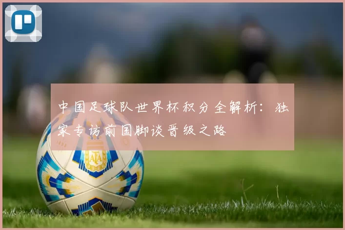 中国足球队世界杯积分全解析:独家专访前国脚谈晋级之路