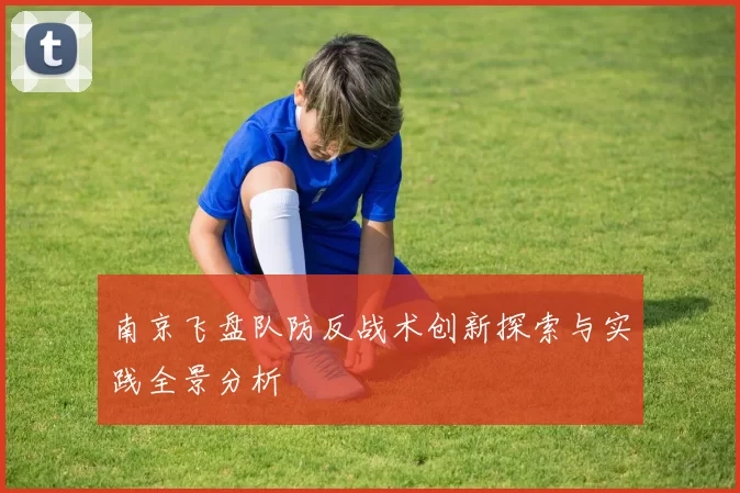 南京飞盘队防反战术创新探索与实践全景分析