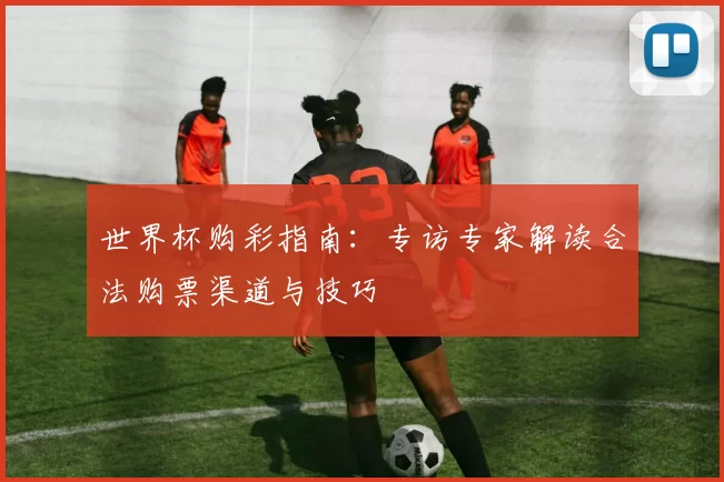 世界杯购彩指南:专访专家解读合法购票渠道与技巧