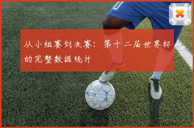 从小组赛到决赛：第十二届世界杯的完整数据统计