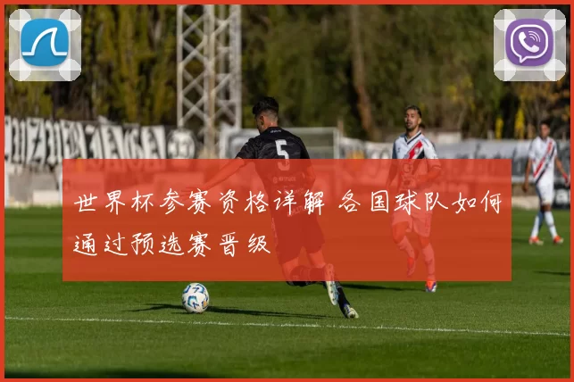 世界杯参赛资格详解 各国球队如何通过预选赛晋级