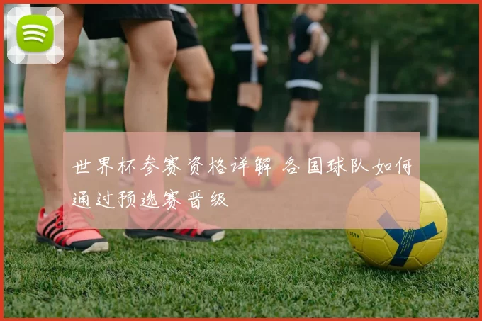 世界杯参赛资格详解 各国球队如何通过预选赛晋级