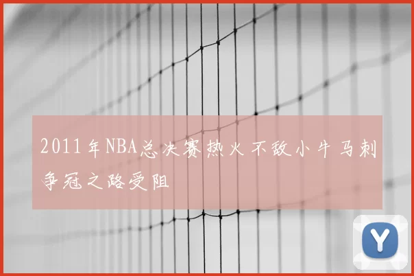 2011年NBA总决赛热火不敌小牛马刺争冠之路受阻