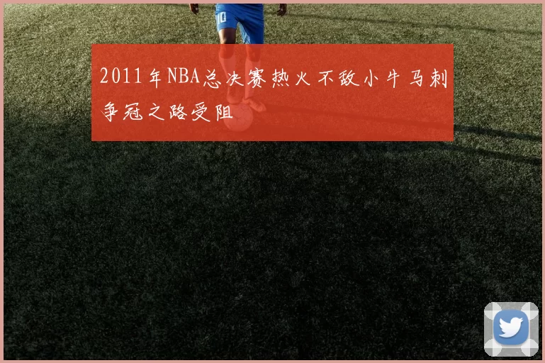 2011年NBA总决赛热火不敌小牛马刺争冠之路受阻