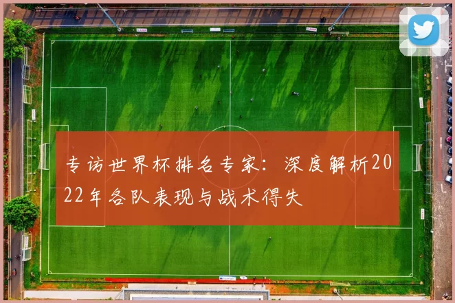 专访世界杯排名专家：深度解析2022年各队表现与战术得失
