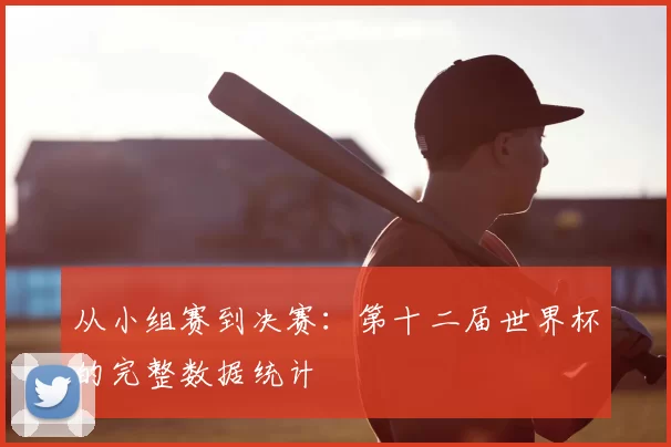 从小组赛到决赛：第十二届世界杯的完整数据统计